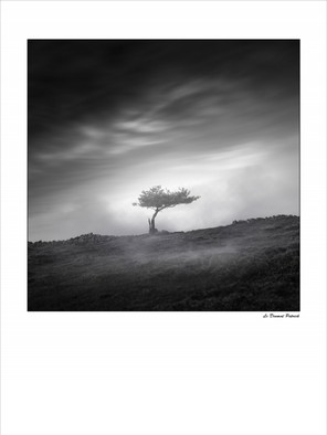 Le Denmat Patrick (1).jpg