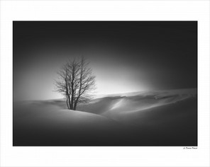 Le Denmat Patrick (2).jpg