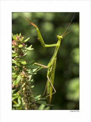 Le Goff jean-Paul (2).jpg