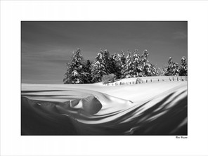 Rêve Brigitte (2).jpg