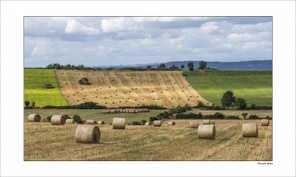 Travaille Gilles (1).jpg