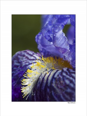 Vignol Christine (1).jpg