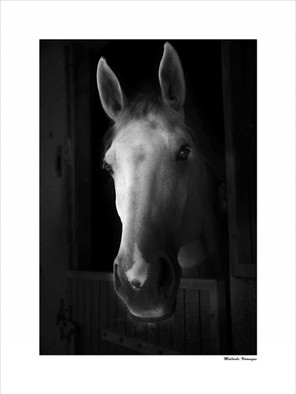 malherbe Véronique (1).jpg