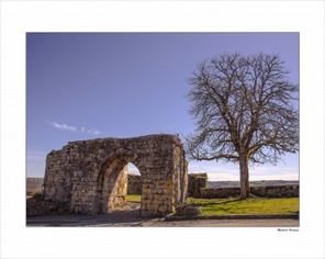 malherbe Véronique (2).jpg