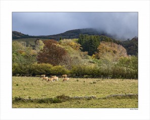 Andrieu Patrick (2).jpg