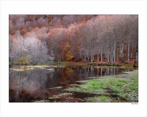 Bayol Nadine (2).jpg