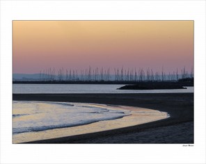 Caulet Michèle (2).jpg