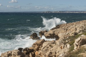 8-Francis (12).jpg