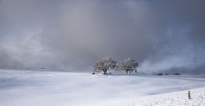 _DSC5155    1copie copie.jpg