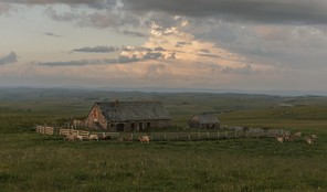 _DSC5738 -.jpg