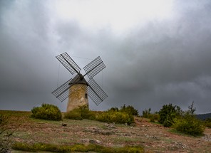 _DSC8917-.jpg